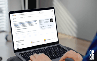 SEO and AI Overviews: A New Frontier in Search Optimization